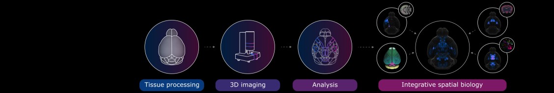 virtual_brain_technologies_cover